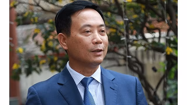 越南经济的内力深信不疑 ảnh 1