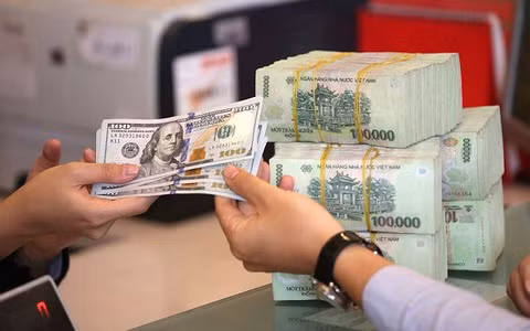 美联储降息 越南国内黄金和美元一律涨价 ảnh 2