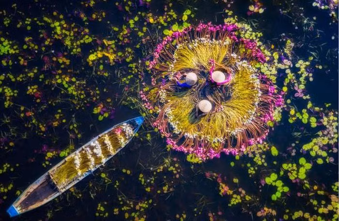 关于越南的5张照片入围史密森尼年度摄影大赛决赛 ảnh 1