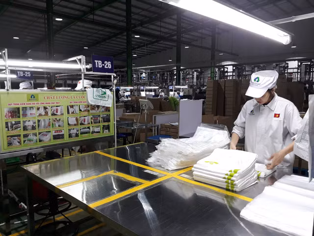 新冠肺炎疫情:越南对欧盟货物出口活动基本上不受限制 ảnh 1 新冠肺炎疫情:越南对欧盟货物出口活动基本上不受限制 ảnh 1