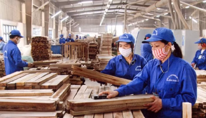 越南全国共有7500家农林水产品加工厂 ảnh 1