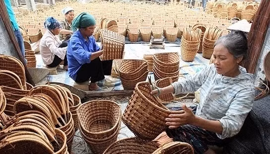 职业培训助力新农村建设 ảnh 1