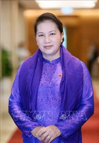 越南国会主席阮氏金银:共同携手保护东盟共同家园 ảnh 1 越南国会主席阮氏金银:共同携手保护东盟共同家园 ảnh 1