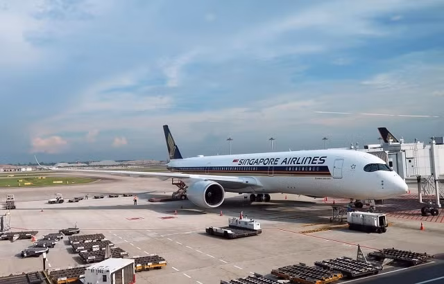 受新冠肺炎疫情影响新加坡航空将停飞96%航班 ảnh 1
