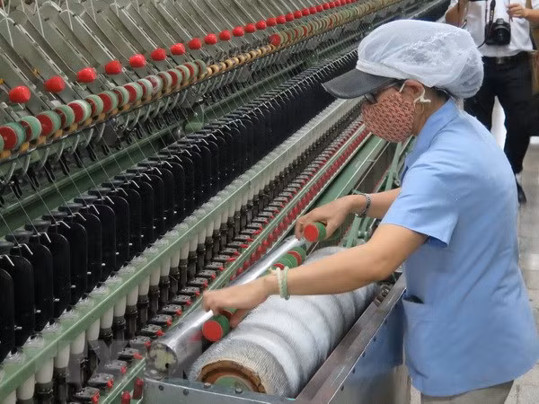 越南统计总局：困难形势下，2020年越南GDP增长率可达5%以上 ảnh 1