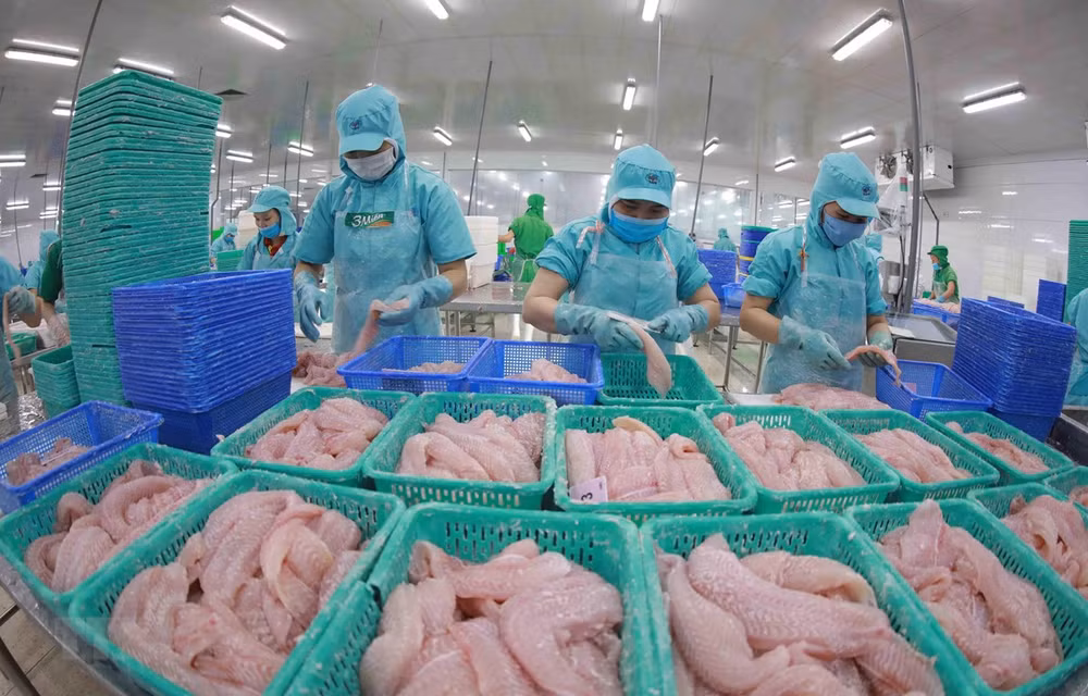 越日食品加工企业合力扩大进出口规模 ảnh 2