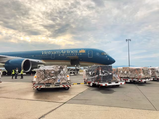 越南航空总公司采取强有力的结构重组措施 ảnh 1