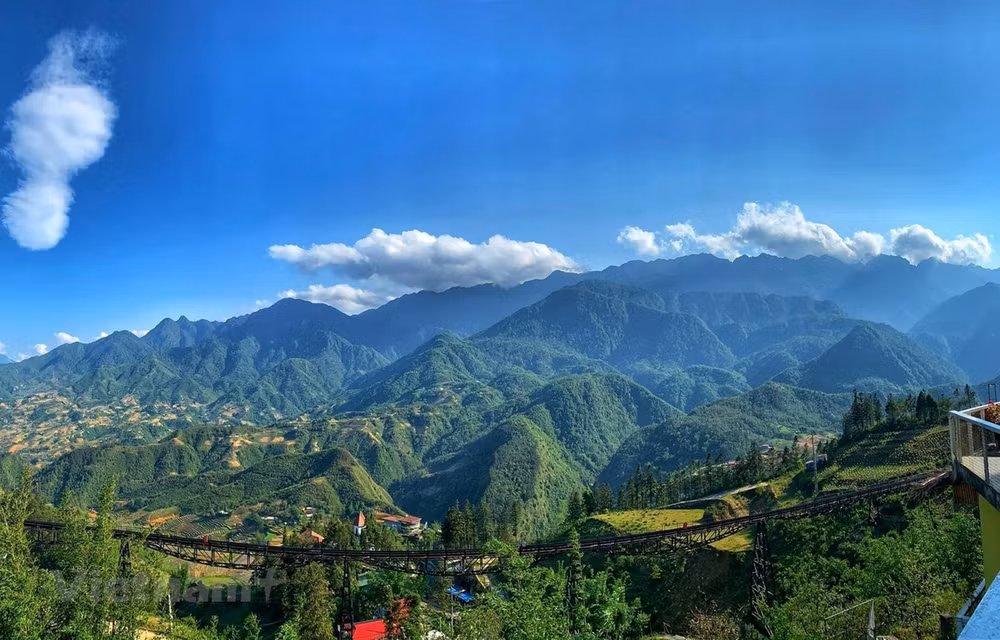 通过旅游提升药材价值 ảnh 1