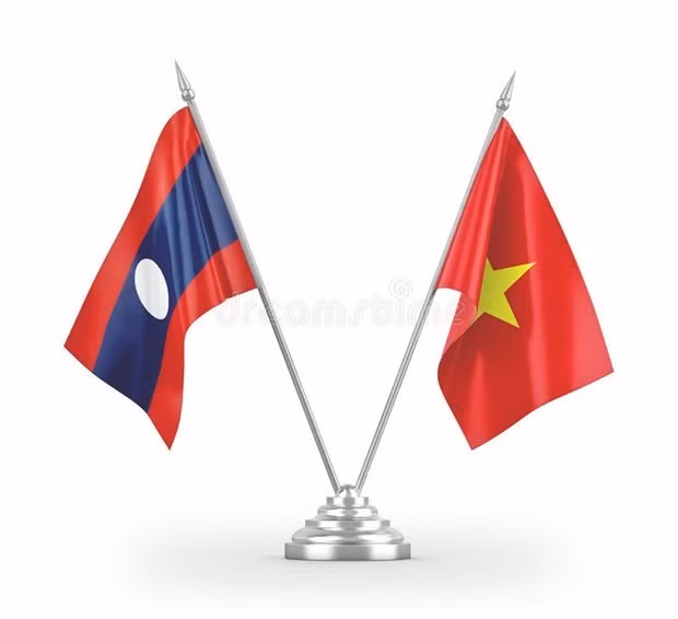 越南外交部代表团赴老挝驻越南大使馆庆祝国庆46周年 ảnh 1