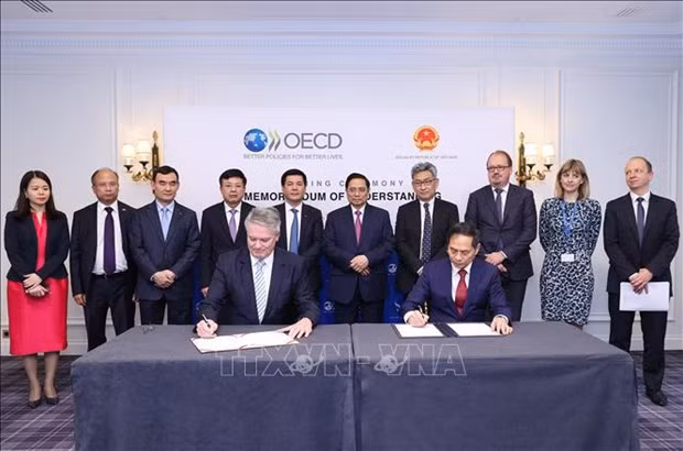 越南政府总理会见OECD秘书长 ảnh 1