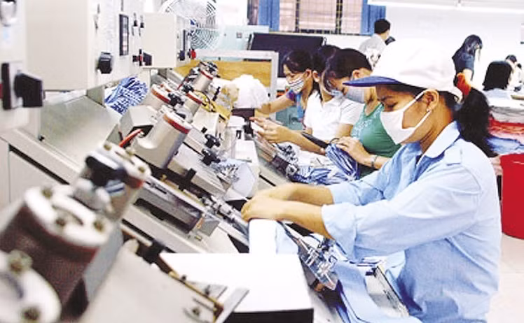 越南民营企业实现数量与质量双提升 ảnh 1