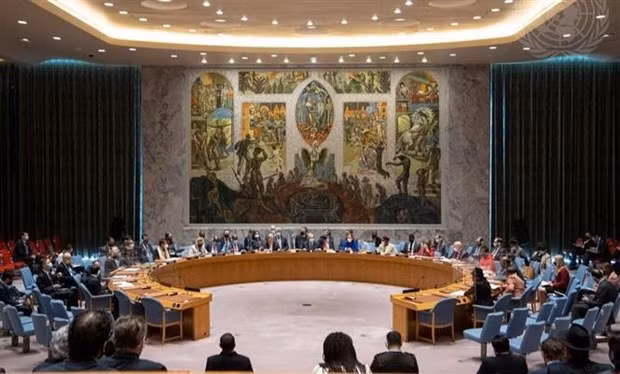 越南与联合国安理会:越南愿为共同维护国际和平与安全以及预防冲突作出贡献 ảnh 1 越南与联合国安理会:越南愿为共同维护国际和平与安全以及预防冲突作出贡献 ảnh 1