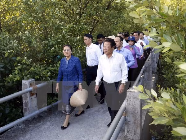 老挝国会主席巴妮•雅陶都圆满结束对越南的正式友好访问 ảnh 1 老挝国会主席巴妮•雅陶都圆满结束对越南的正式友好访问 ảnh 1