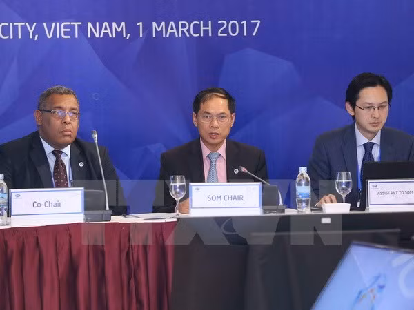 2017年APEC会议:越南为APEC合作与发展做出许多贡献 ảnh 1 2017年APEC会议:越南为APEC合作与发展做出许多贡献 ảnh 1