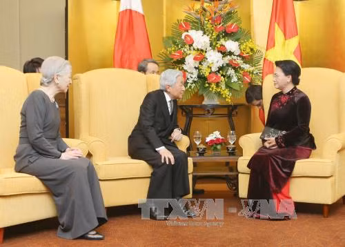 国会主席阮氏金银会见日本天皇明仁和皇后 ảnh 1 国会主席阮氏金银会见日本天皇明仁和皇后 ảnh 1
