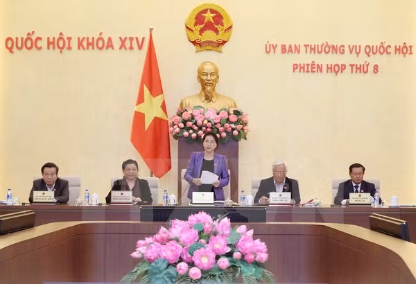 越南第十四届国会常务委员会第八次会议圆满完成各项议程 ảnh 1