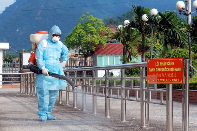 河江省清水国际口岸加大对甲型H7N9禽流感的预防力度 ảnh 1