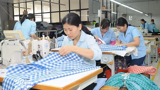 对EVFTA“高速公路”寄予厚望 ảnh 1