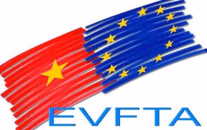 尽快将《越欧自贸协定》落到实处 ảnh 1