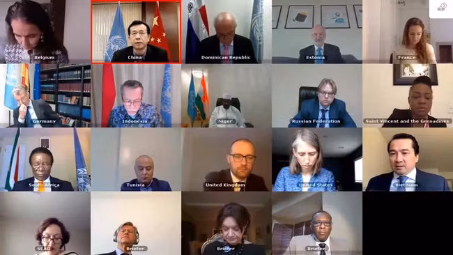越南出席联合国安理会有关苏丹达尔富尔问题的连线视频会议 ảnh 1 越南出席联合国安理会有关苏丹达尔富尔问题的连线视频会议 ảnh 1
