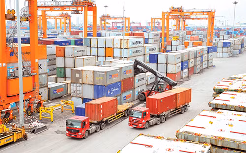 改变出口方式 推进正贸出口活动 ảnh 1