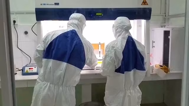 越南具有充足的新冠病毒检测试剂和设备 ảnh 1