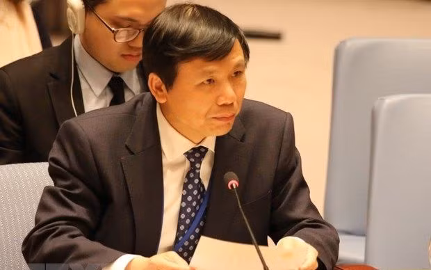 越南重申支持“两国方案”解决巴以问题的一贯立场 ảnh 1