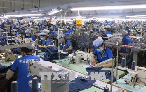 胡志明市在新冠肺炎疫情情况下为企业创造安全的工作环境 ảnh 1