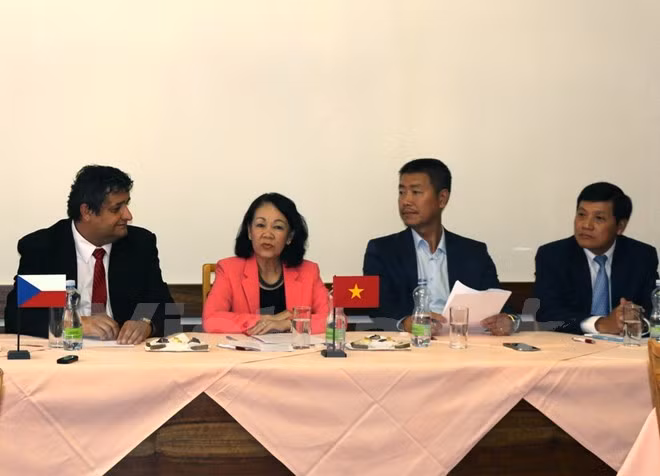 越共中央民运部部长张氏梅对捷克进行工作访问 ảnh 1