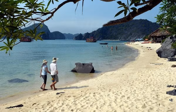 越南拟将吉婆群岛纳入下龙湾并准备材料进行申遗 ảnh 1