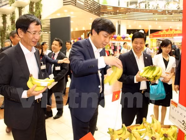 永旺集团越南办事处首席代表:越南将成为颇具吸引力的市场 ảnh 1