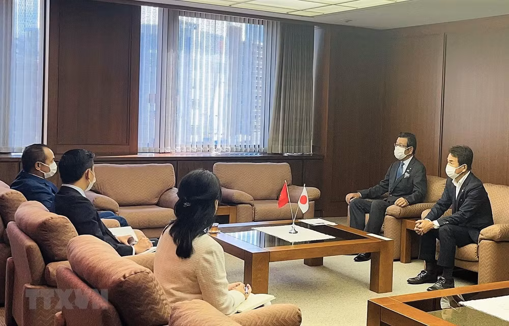多家日本企业拟扩大对越南的投资力度 ảnh 1