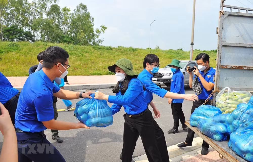 响应越共中央总书记的号召首都河内近5000名青年志愿者奔赴各地参与防疫工作 ảnh 1