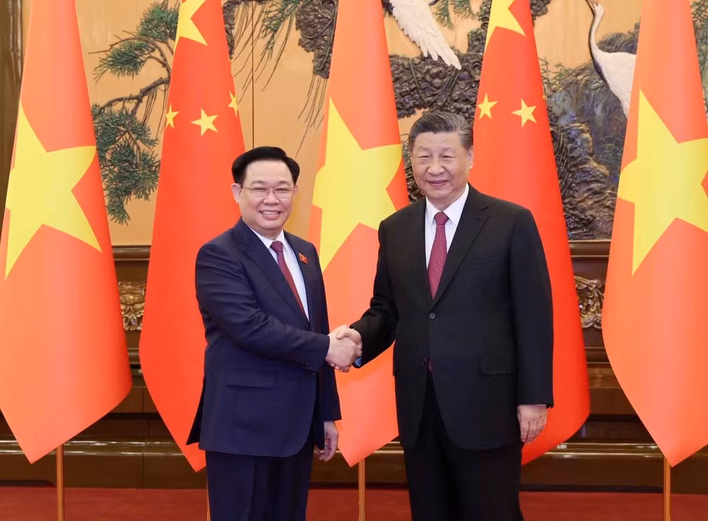 越南国会主席王廷惠会见习近平总书记、国家主席 ảnh 1