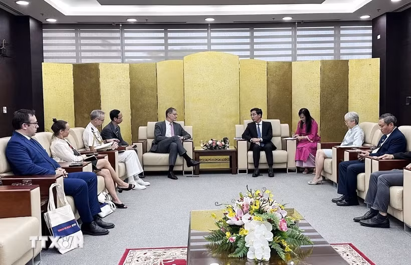  发展法国伙伴与岘港市的友好合作关系 ảnh 1