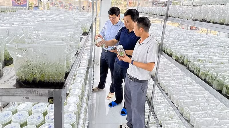 实现数字化转型和绿色转型 促进突破性发展 ảnh 1 实现数字化转型和绿色转型 促进突破性发展 ảnh 1