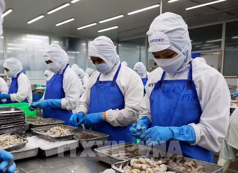 越南首次成为新加坡第五大水产品出口国 ảnh 1 越南首次成为新加坡第五大水产品出口国 ảnh 1
