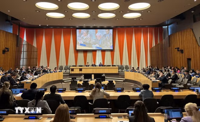 联合国妇女署越南首席代表：越南在性别平等领域取得长足进步 ảnh 2