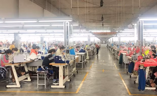 推动越意战略伙伴关系迈上更高台阶 ảnh 3