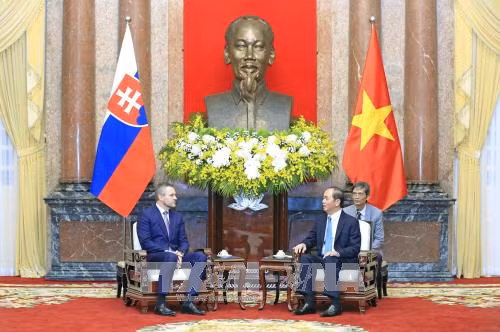 越南国家主席陈大光会见斯洛伐克副总理佩特尔·佩列格里尼 ảnh 1 越南国家主席陈大光会见斯洛伐克副总理佩特尔·佩列格里尼 ảnh 1