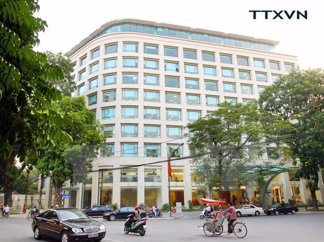 政府总理任命两名越南通讯社副社长 ảnh 1
