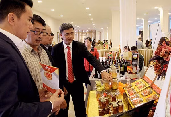 多家胡志明市企业来到林同省寻找投资机会 ảnh 1 多家胡志明市企业来到林同省寻找投资机会 ảnh 1