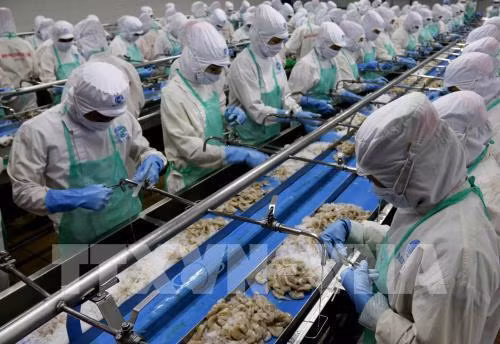 越南食品加工工业发展余地广阔 ảnh 1