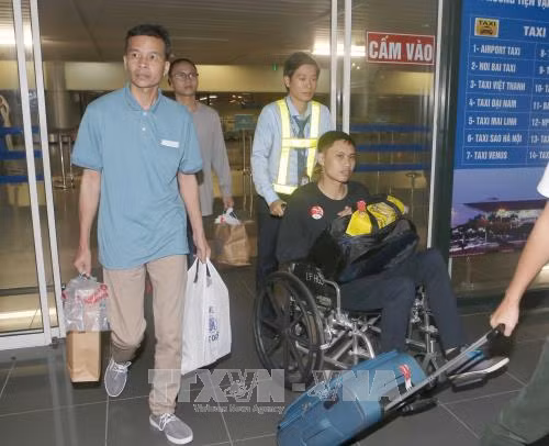 在菲律宾获救的越南船员已安全回国 ảnh 1