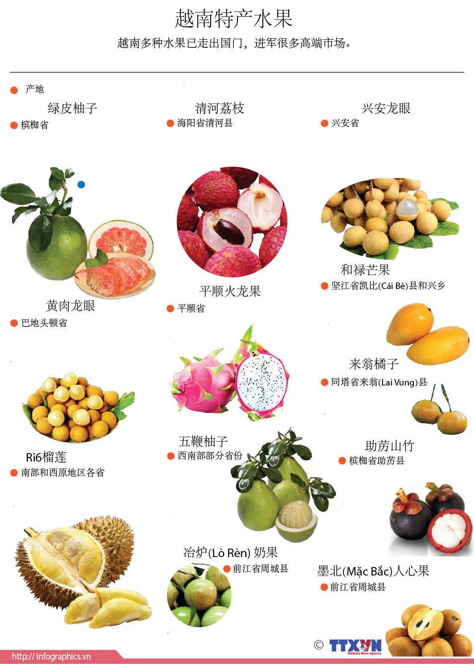 越南特产水果| Vietnam+ (VietnamPlus)