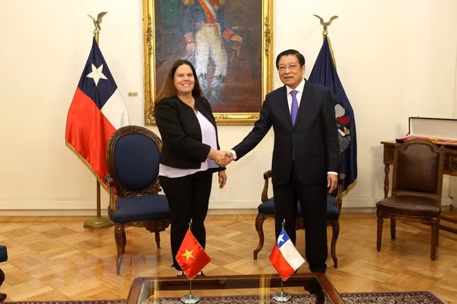 越南共产党高级代表团对智利进行工作访问 ảnh 2