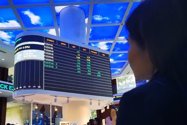 VinaCapital：越南股市吸引外国投资者的青睐 ảnh 1