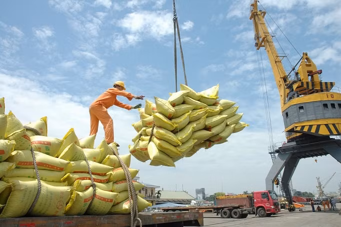 越南力争实现粮食食品出口额达300亿美元的目标 ảnh 1 越南力争实现粮食食品出口额达300亿美元的目标 ảnh 1