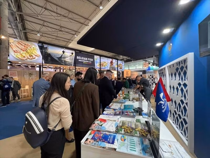 近40家越南企业将参加世界最大海鲜展 ảnh 1