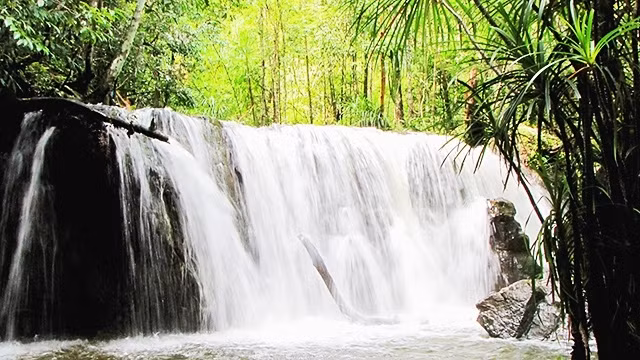 越南富国岛不仅有海 ảnh 1